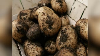 Organic food may not be pesticide-free