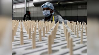 Govt forms consultative group to improve pharma exports