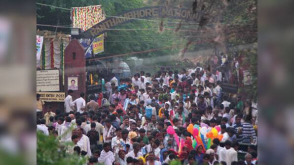 Who is to stop pilgrims running amok in the forests