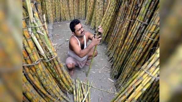  Edible oil, sugar prices may jump 15% this festive season