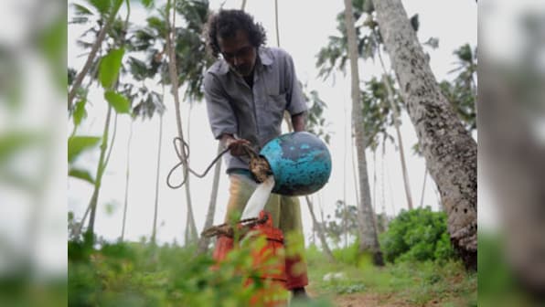 HC directs Kerala govt to ban toddy
