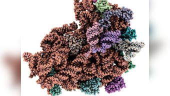 Fastest-known RNA switches may help combat HIV