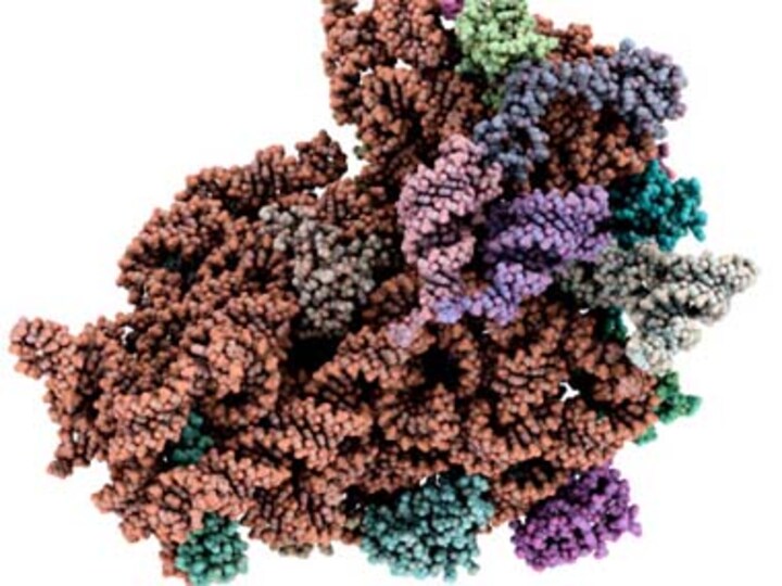 Fastest-known RNA switches may help combat HIV