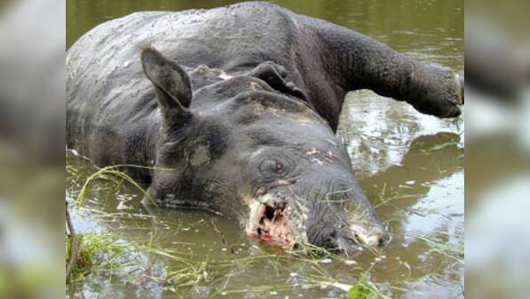 Forest officials to raid villages to curb poaching by electrocution