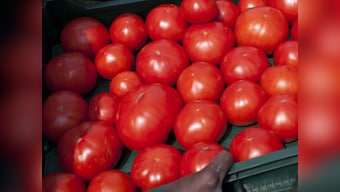 Tomatoes may help reduce stroke risk