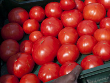 Tomatoes may help reduce stroke risk Tomatoes may help reduce stroke risk