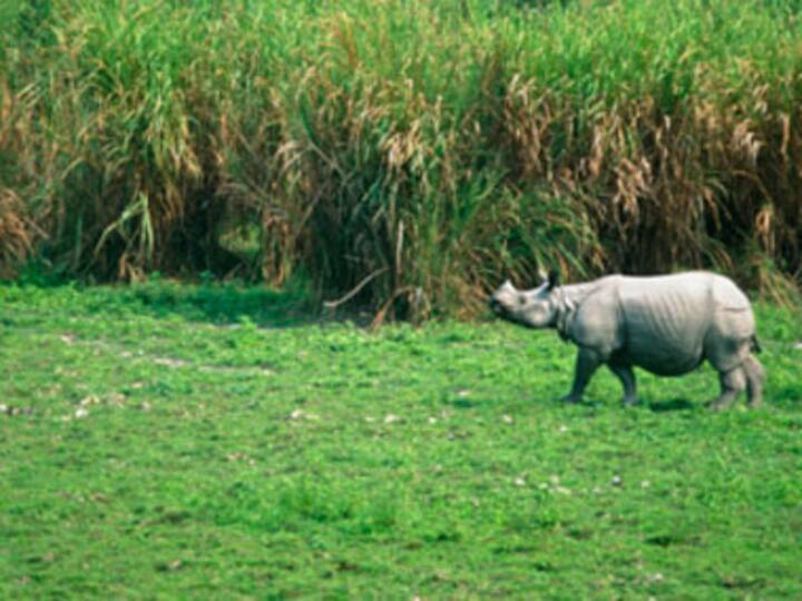 Kerala to host India's first biodiversity congress in December