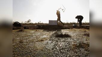No consensus over resource mobilisation for biodiversity