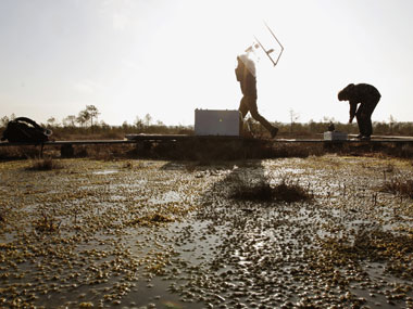 No consensus over resource mobilisation for biodiversity No consensus over resource mobilisation for biodiversity