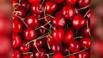 Cherries can help cure gout