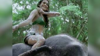 Shifting lakes, soap in rivers: The ecological ignorance of the ad industry