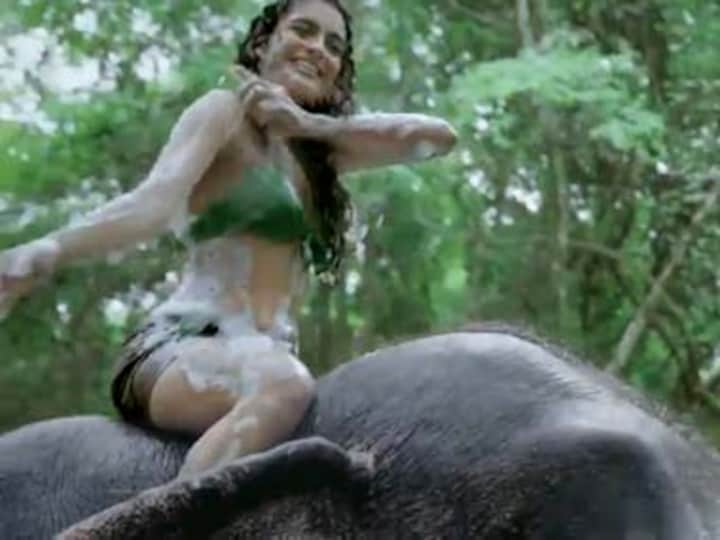 Shifting lakes, soap in rivers: The ecological ignorance of the ad industry