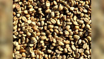 Commexes H1 turnover declines by 5% to Rs 88 crore
