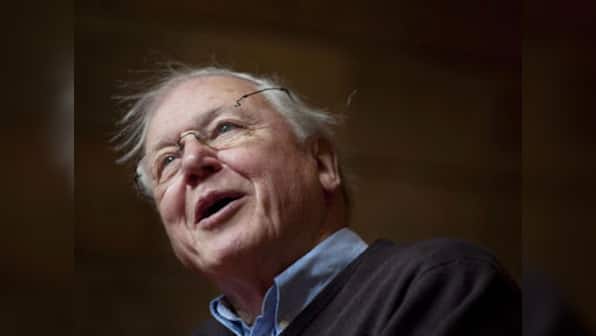 Attenborough’s Ark vs Reality TV: How both approaches serve nature poorly