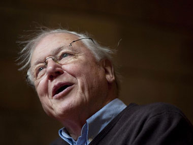 Attenborough’s Ark vs Reality TV: How both approaches serve nature poorly Attenborough’s Ark vs Reality TV: How both approaches serve nature poorly