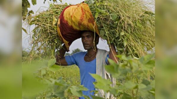 India’s farmer suicides: film indicts US corporate greed   