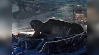 Lethal new breed of mosquitoes discovered