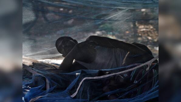 Lethal new breed of mosquitoes discovered