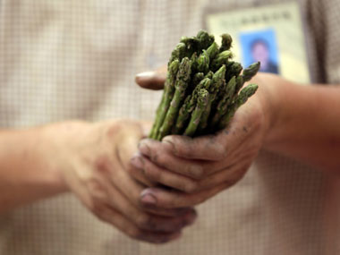 Can asparagus help fight diabetes? Can asparagus help fight diabetes?