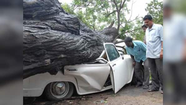 Cyclone Nilam's final toll: 4 dead, 100,000 displaced