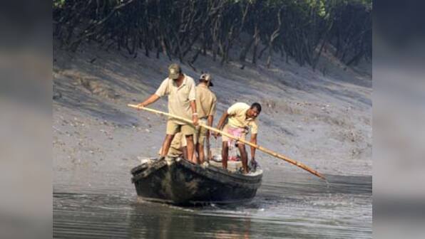 Women in Sunderbans wage war on climate change