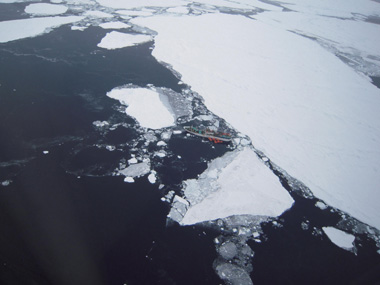 Ice cover in Antarctic sea ice has increased because of climate change Ice cover in Antarctic sea ice has increased because of climate change