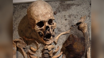 Rare 'vampire' skeleton unearthed in Nottinghamshire