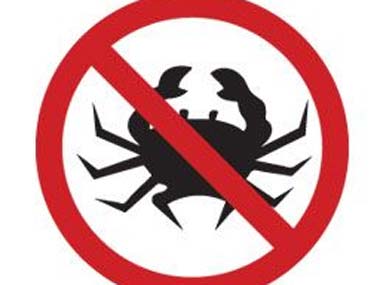 New developed drug kills cancer cells for good New developed drug kills cancer cells for good