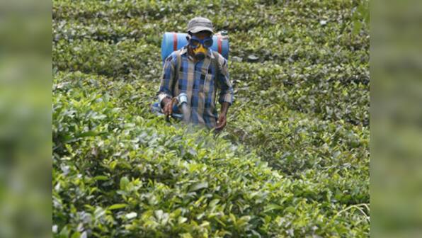 Allow use of Endosulfan for two more years: Expert panel to SC