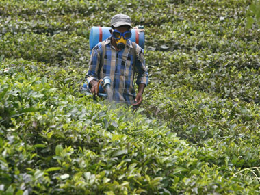 Allow use of Endosulfan for two more years: Expert panel to SC Allow use of Endosulfan for two more years: Expert panel to SC