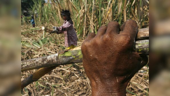 Govt lowers sugar output to 23 mln tonnes in 2012-13