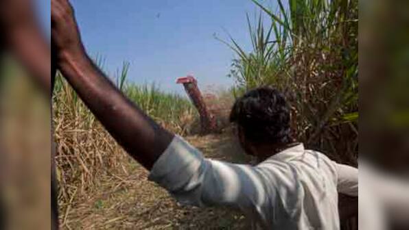 Sugar bowl in turmoil: NCP’s citadel stands shaken