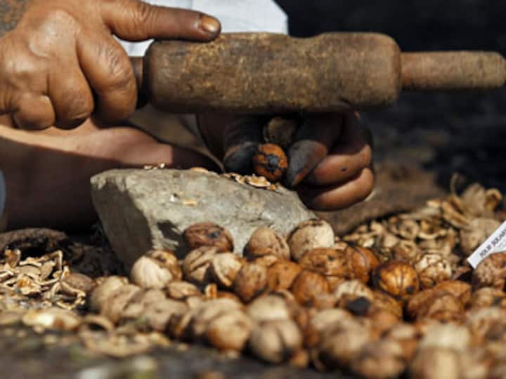 Going nuts: Ramdev prescription spikes walnut prices