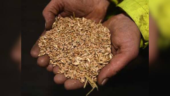 Govt approves sale of 6.5 mn tonnes wheat 