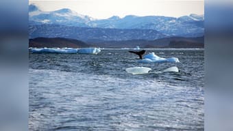 Can we refreeze the arctic?