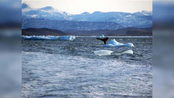 Can we refreeze the arctic?
