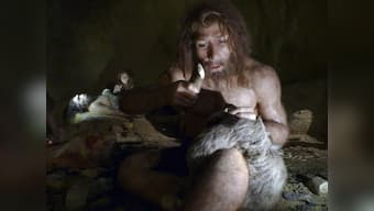 How a freak accident spurred evolution in mammals