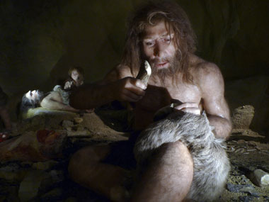 How a freak accident spurred evolution in mammals How a freak accident spurred evolution in mammals