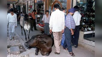 How Google has got Delhi's Chandni Chowk market online