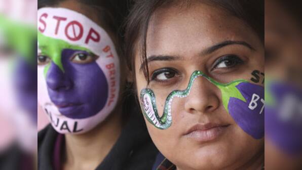Are genetically modified crops finally on their way out of India?