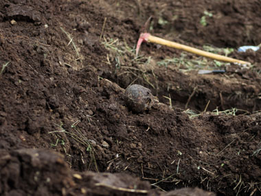 Workers discover 49 skulls in Sri Lankan construction site Workers discover 49 skulls in Sri Lankan construction site