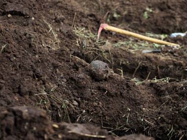 Mass grave containing remains of over 75 civilians and security personnel unearthed in Iraq's Kirkuk province
