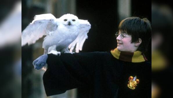 Mini 'Harry Potter' movie on floors?