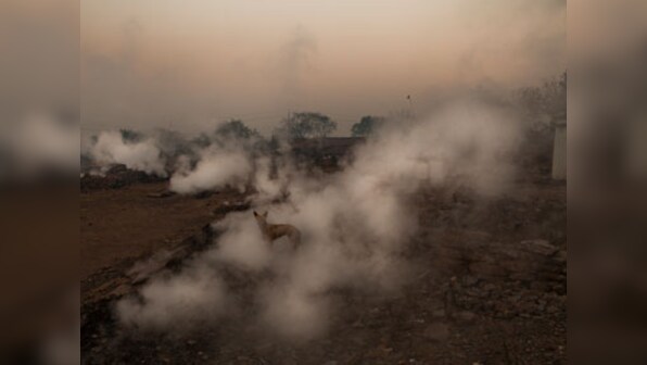Scientists warn of growing carbon emissions