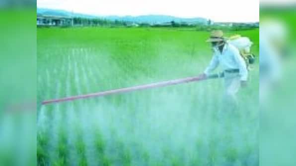 Fertiliser cos surge on urea manufacturing push