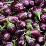 Haryana’s Bt brinjal row: Govt must allow farmers to have access to technologies in agriculture to dissuade illegal use of seeds