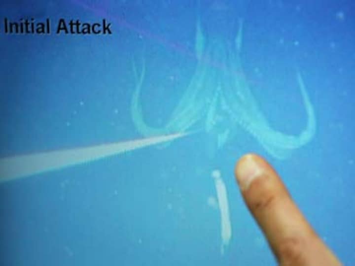 First images of giant squid filmed in deep ocean