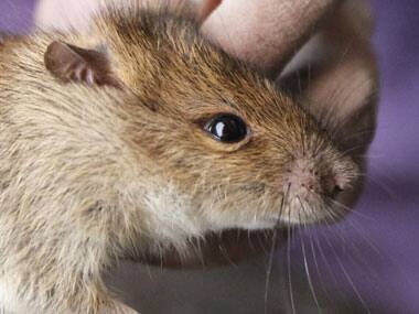 Image for representation only. Reuters