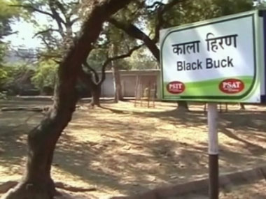 Six blackbucks found dead in Sayaji Baug zoo in Gujarat's Vadodara, cause of death yet to be identifed Six blackbucks found dead in Sayaji Baug zoo in Gujarat's Vadodara, cause of death yet to be identifed
