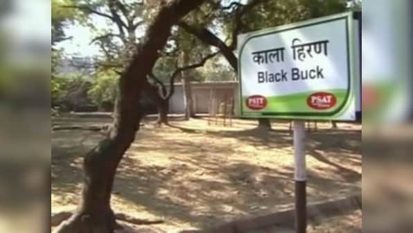Six blackbucks found dead in Sayaji Baug zoo in Gujarat's Vadodara, cause of death yet to be identifed